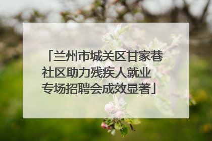 兰州市城关区甘家巷社区助力残疾人就业 专场招聘会成效显著
