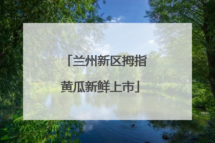 兰州新区拇指黄瓜新鲜上市