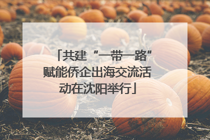 共建“一带一路”赋能侨企出海交流活动在沈阳举行