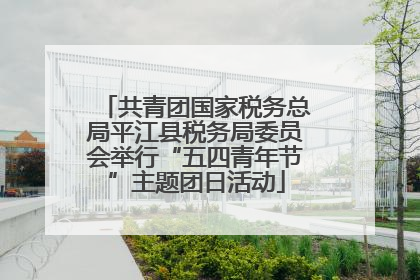 共青团国家税务总局平江县税务局委员会举行“五四青年节”主题团日活动