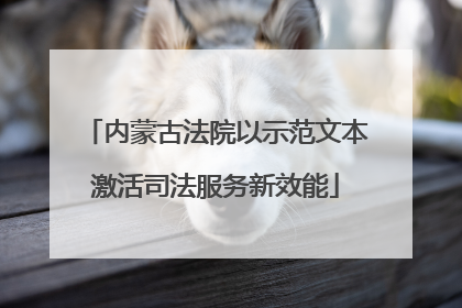 内蒙古法院以示范文本激活司法服务新效能