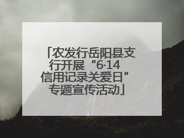 农发行岳阳县支行开展“6·14信用记录关爱日” 专题宣传活动