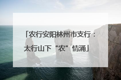 农行安阳林州市支行：太行山下“农”情涌