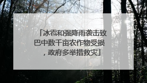 冰雹和强降雨袭击致巴中数千亩农作物受损，政府多举措救灾