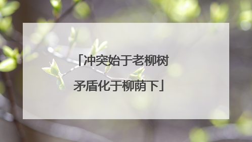 冲突始于老柳树 矛盾化于柳荫下