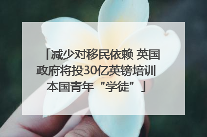 减少对移民依赖 英国政府将投30亿英镑培训本国青年“学徒”