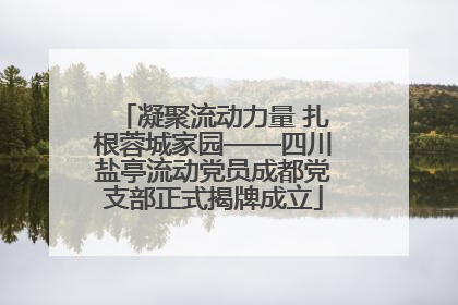 凝聚流动力量 扎根蓉城家园——四川盐亭流动党员成都党支部正式揭牌成立