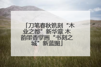 刀笔春秋镌刻“木业之都”新华章 木韵墨香擘画“书刻之城”新蓝图