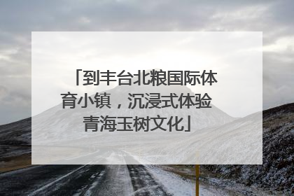 到丰台北粮国际体育小镇，沉浸式体验青海玉树文化
