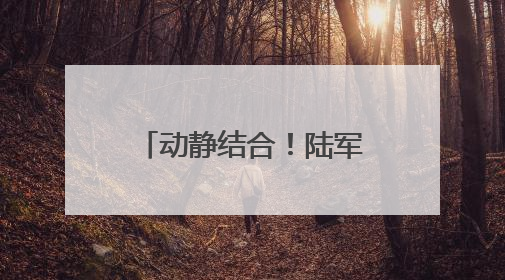 动静结合！陆军某团实战化考核检验装备保养质效