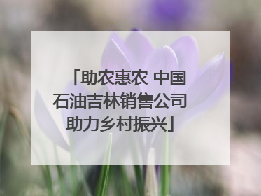 助农惠农 中国石油吉林销售公司助力乡村振兴