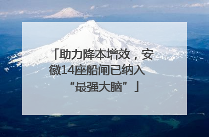 助力降本增效，安徽14座船闸已纳入“最强大脑”