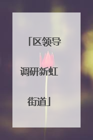 区领导调研新虹街道