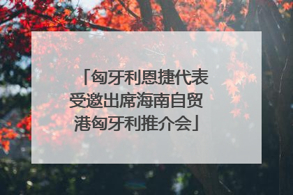 匈牙利恩捷代表受邀出席海南自贸港匈牙利推介会