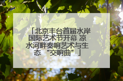 北京丰台首届水岸国际艺术节开幕 凉水河畔奏响艺术与生态 “交响曲”