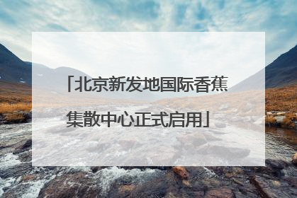 北京新发地国际香蕉集散中心正式启用