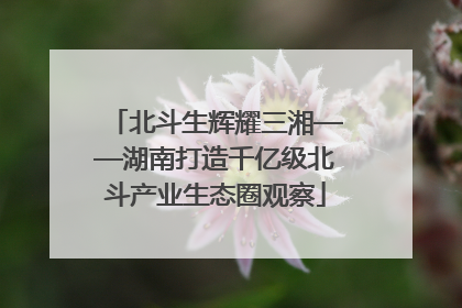 北斗生辉耀三湘——湖南打造千亿级北斗产业生态圈观察