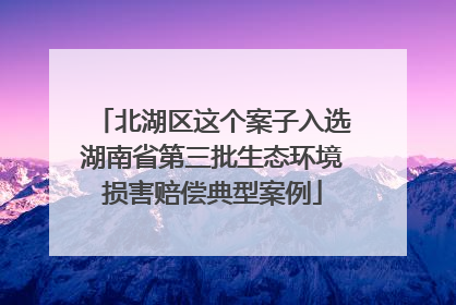 北湖区这个案子入选湖南省第三批生态环境损害赔偿典型案例