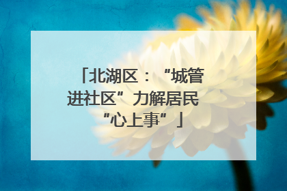 北湖区：“城管进社区”力解居民“心上事”