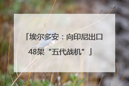 埃尔多安：向印尼出口48架“五代战机”
