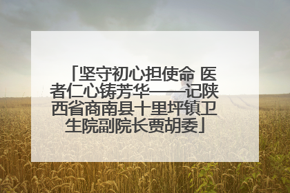 坚守初心担使命 医者仁心铸芳华——记陕西省商南县十里坪镇卫生院副院长贾胡委
