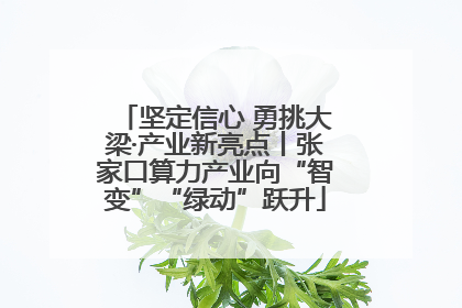 坚定信心 勇挑大梁·产业新亮点丨张家口算力产业向“智变”“绿动”跃升