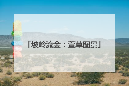 坡岭流金：萱草图景