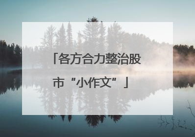 各方合力整治股市“小作文”
