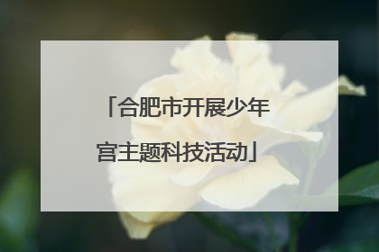 合肥市开展少年宫主题科技活动