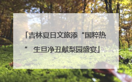吉林夏日文旅添“国粹热” 生旦净丑献梨园盛宴