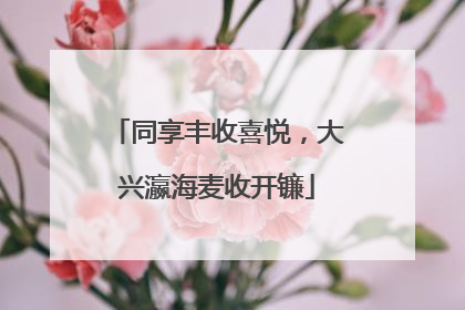 同享丰收喜悦，大兴瀛海麦收开镰