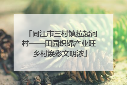 同江市三村镇拉起河村——田园织锦产业旺 乡村焕彩文明浓