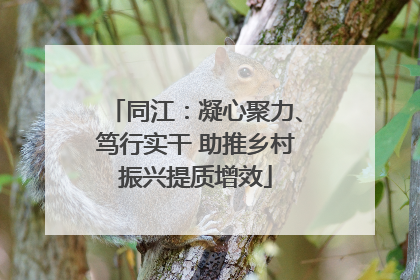 同江：凝心聚力、笃行实干 助推乡村振兴提质增效
