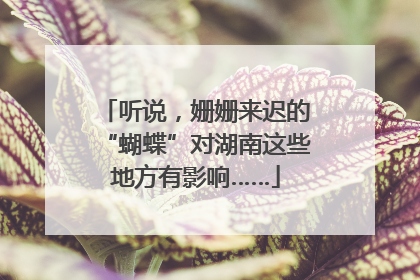听说，姗姗来迟的“蝴蝶”对湖南这些地方有影响……