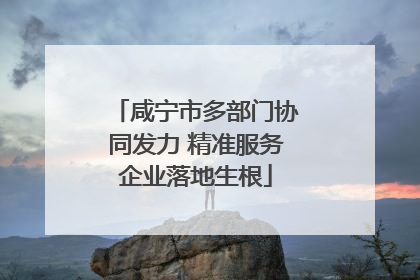 咸宁市多部门协同发力 精准服务企业落地生根