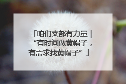 咱们支部有力量｜“有时间做黄帽子，有需求找黄帽子”