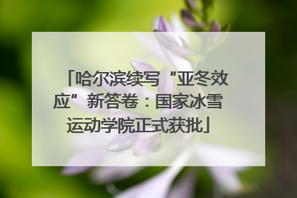 哈尔滨续写“亚冬效应”新答卷：国家冰雪运动学院正式获批