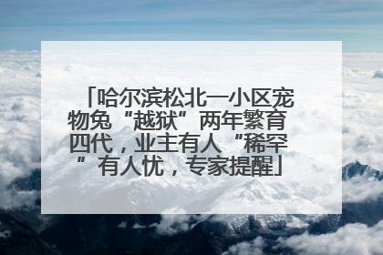 哈尔滨松北一小区宠物兔“越狱”两年繁育四代，业主有人“稀罕”有人忧，专家提醒