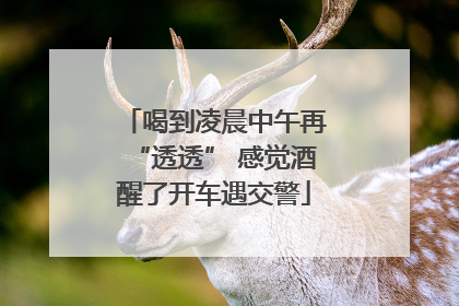 喝到凌晨中午再“透透” 感觉酒醒了开车遇交警