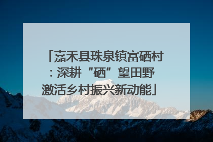 嘉禾县珠泉镇富硒村：深耕“硒”望田野 激活乡村振兴新动能