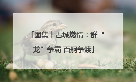 图集丨古城燃情：群“龙”争霸 百舸争渡