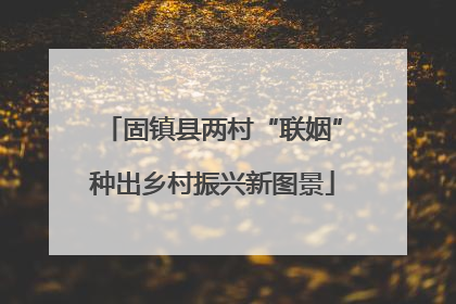 固镇县两村“联姻”种出乡村振兴新图景