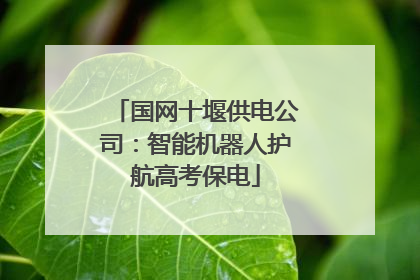 国网十堰供电公司：智能机器人护航高考保电