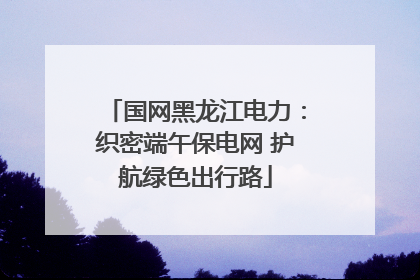 国网黑龙江电力：织密端午保电网 护航绿色出行路