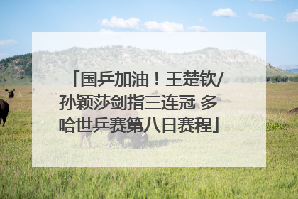 国乒加油！王楚钦/孙颖莎剑指三连冠 多哈世乒赛第八日赛程