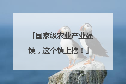 国家级农业产业强镇，这个镇上榜！