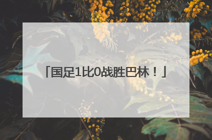 国足1比0战胜巴林！