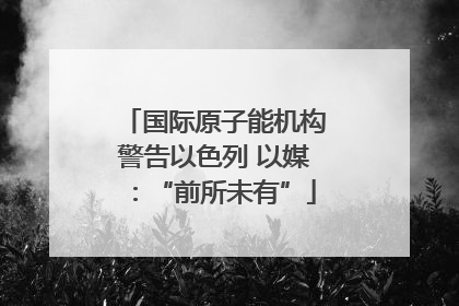 国际原子能机构警告以色列 以媒：“前所未有”