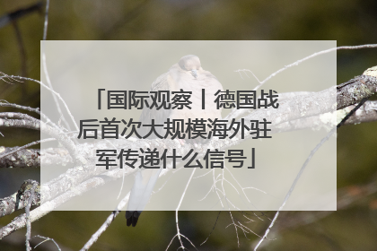 国际观察丨德国战后首次大规模海外驻军传递什么信号