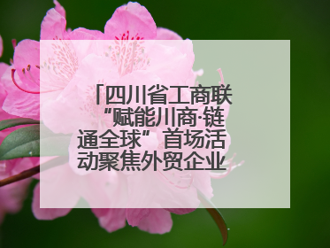 四川省工商联“赋能川商·链通全球”首场活动聚焦外贸企业应对贸易摩擦